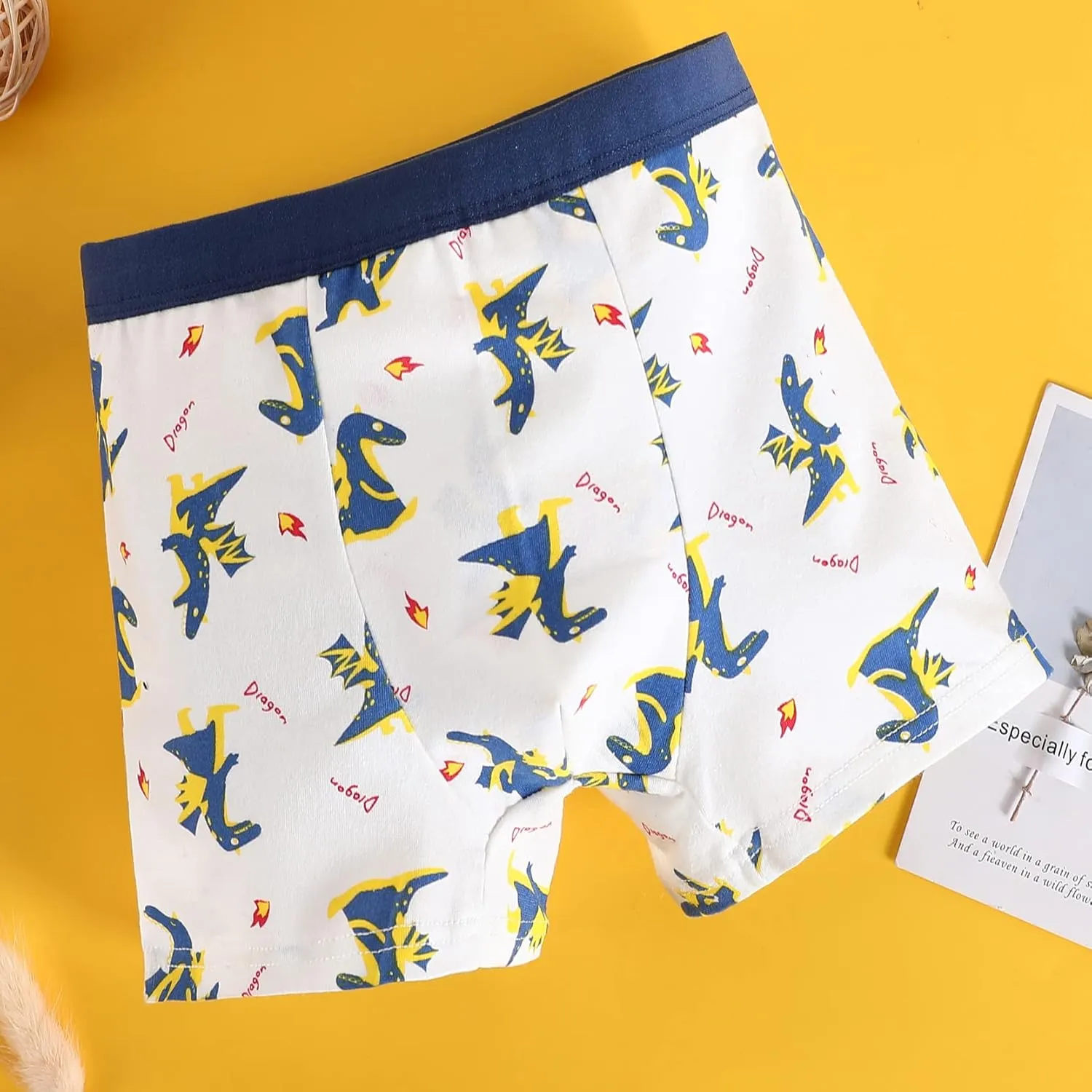 Boys Cotton Boxer Briefs Dinosaur Polar Bear Toddler Kids Underwear 12 Pack, 1-13 Years