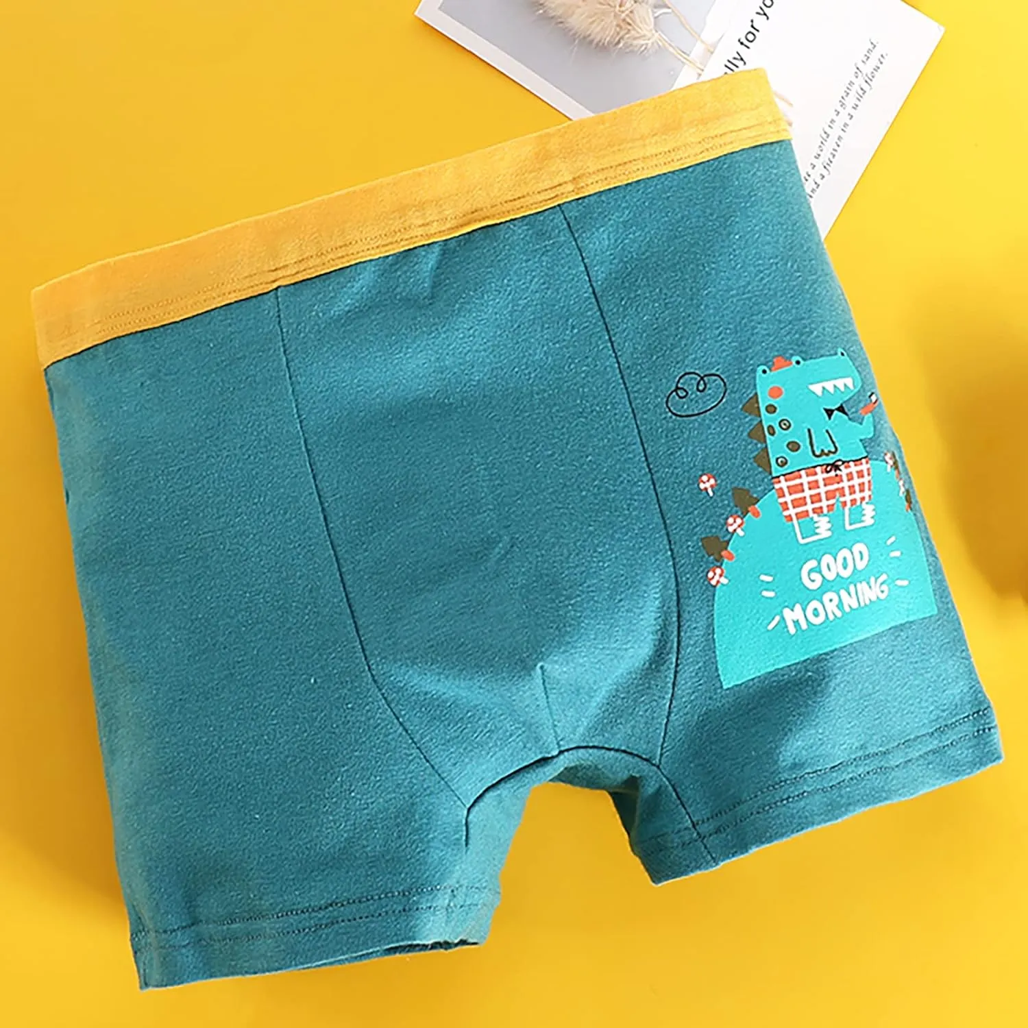 Boys Cotton Boxer Briefs Dinosaur Polar Bear Toddler Kids Underwear 12 Pack, 1-13 Years