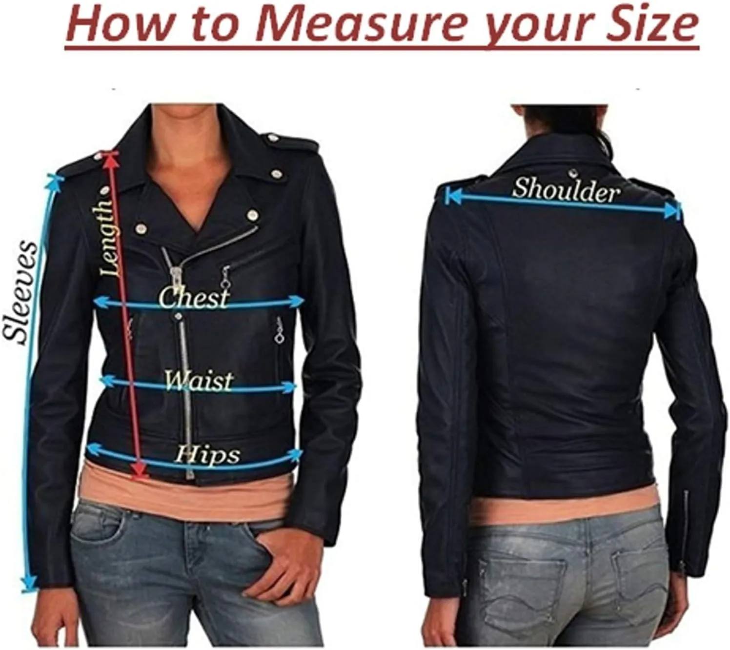 D DOLLY LAMB Women's Lambskin Leather Moto Biker Jacket, Winter Wear Round Neck Collar Jacket for Bike Riding & Casual Wear