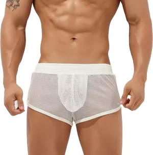 Sexy Men's Mesh Shorts Boxer Briefs Lounge See Through Hollow Lingerie Underpants
