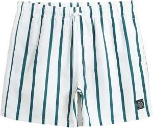 SOLY HUX Men's Quick Dry Swim Trunks Board Shorts Bathing Suits Swimsuit Beach Shorts with Pockets